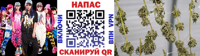 Как найти наркотики Пионерский Конопля Меф мяу мяу МДМА ГАШ АМФЕТАМИН