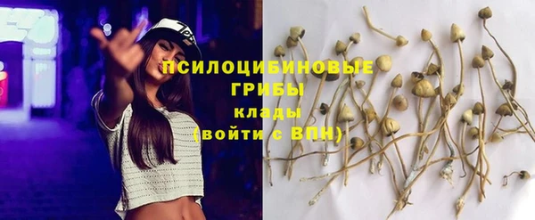 МДМА Белокуриха