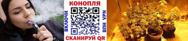 Каннабис Ganja  shop наркотические препараты  Пионерский 