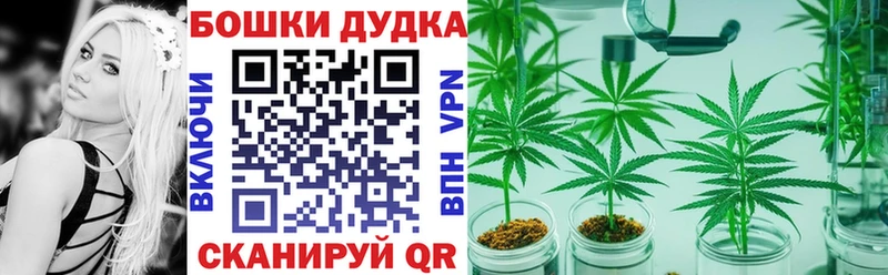 Канабис сатива Пионерский